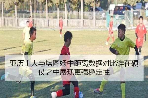 亚历山大与塔图姆中距离数据对比谁在硬仗之中展现更强稳定性